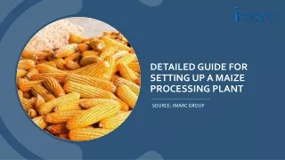 In-depth Analysis: Maize Processing Plant Project Report 2024 PDF