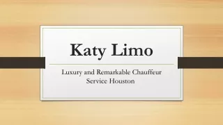 Luxury and Remarkable Chauffeur Service Houston