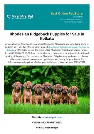 Rhodesian Ridgeback Puppies for Sale in Kolkata