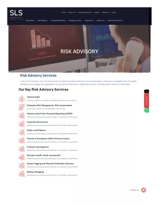 Risk Advisory Firms