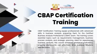 CBAP Certification Training