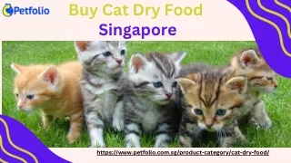 Buy Cat Dry Food Singapore