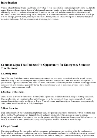 Typical Indicators That Indicate It's Time for Unexpected Emergency Tree Removal
