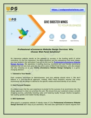 eCommerce Website Development Services – Web Panel Solutions