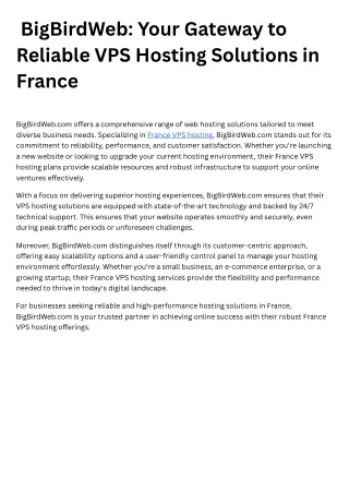 _BigBirdWeb Your Gateway to Reliable VPS Hosting Solutions in France