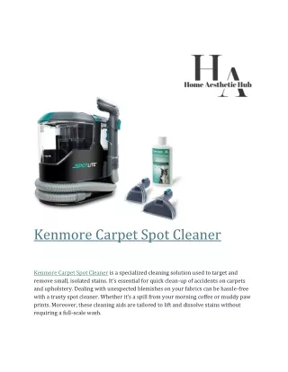 Kenmore Carpet Spot Cleaner