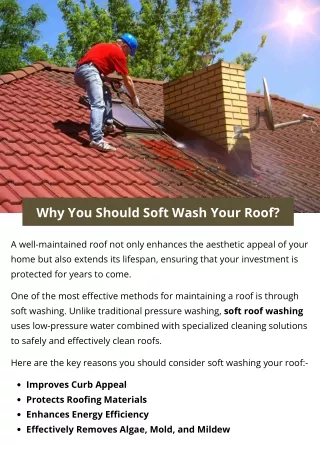 Why You Should Soft Wash Your Roof?