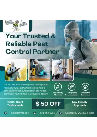 Defeat Pests with Better Termite & Pest Control in Arlington, Alexandria, Fairfa