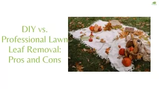 DIY vs. Professional Lawn Leaf Removal Pros and Cons