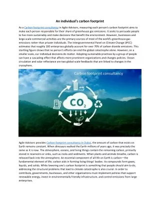 An individual's carbon footprint