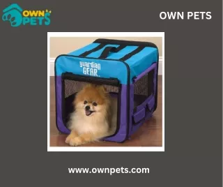 Top-Rated Travel Dog Crates for Safe and Comfortable Journeys