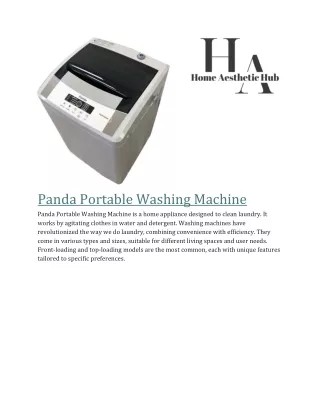 Panda Portable Washing Machine