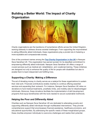 Building a Better World_ The Impact of Charity Organizations