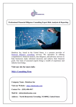 Professional Financial Diligence Consulting Expert Risk Analysis & Reporting