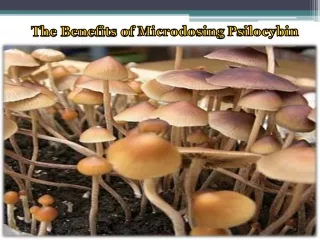 The Benefits of Microdosing Psilocybin