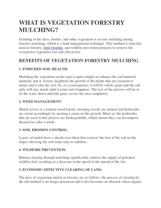 WHAT IS VEGETATION FORESTRY MULCHING?