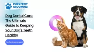 Dog Dental Care: The Ultimate Guide to Keeping Your Dog's Teeth Healthy