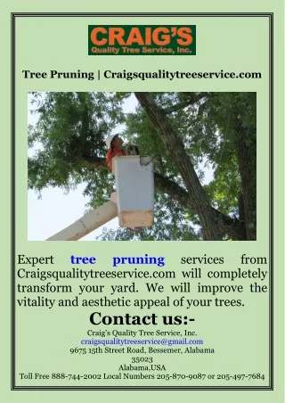 Tree Pruning  Craigsqualitytreeservice.com
