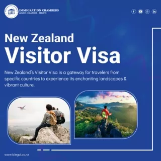 Understanding the New Zealand Visitor Visa Key Insights