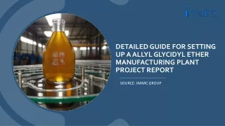Allyl Glycidyl Ether Manufacturing Plant PDF 2024