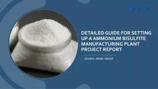 Ammonium Bisulfite Manufacturing Plant Project Report