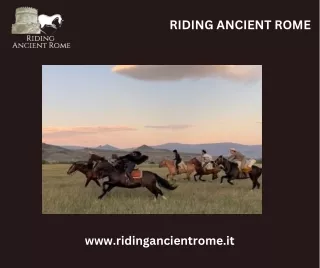 Equestrian Horse Riding: Embrace the Art and Adventure