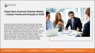 Global Semi Anechoic Chamber Market