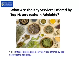 What Are the Key Services Offered by Top Naturopaths in Adelaide?