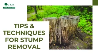 Tips & Techniques for Stump Removal