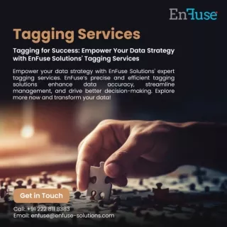 Empower Your Data Strategy with EnFuse Solutions' Tagging Services