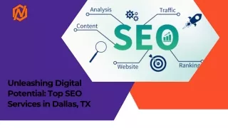 Unleashing Digital Potential: Top SEO Services in Dallas, TX