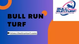 Bull run turf