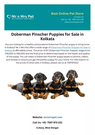 Doberman Pinscher Puppies for Sale in Kolkata