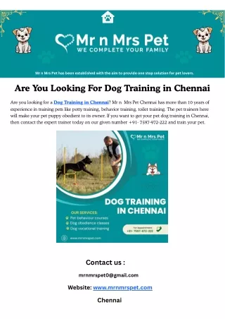 Are You Looking For Dog Training in Chennai