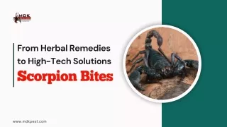 From Herbal Remedies to High-Tech Solutions - Scorpion Bites