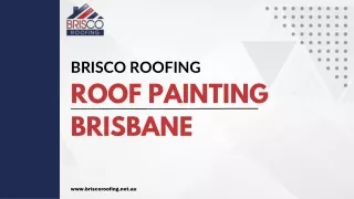 Roof Painting Brisbane--Brisco Roofing