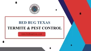 Comprehensive General Pest Control Services