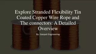 Explore Stranded Flexibility Tin Coated Copper Wire Rope and The connectors A Detailed Overview