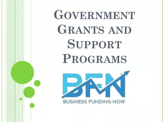 Government Grants and Support Programs