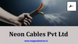 Neon cables June PPT_ (Panel Wire, Battery Cables Manufacturers, Control Cables)