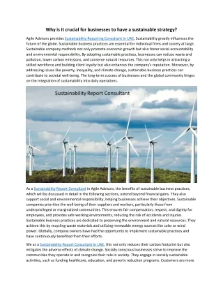 Why is it crucial for businesses to have a sustainable strategy