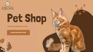 Tiara pets shop singapore