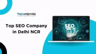 Top SEO Company In Delhi Ncr