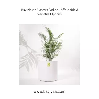 _Buy Plastic Planters Online - Affordable & Versatile Options