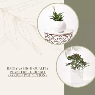 Bagiyaa High Quality Planters - Durable Garden Pot Options