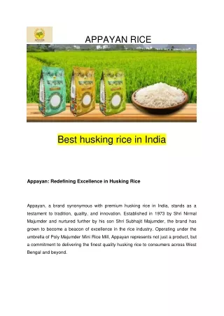 APPAYAN RICE PDF SUBMISSION