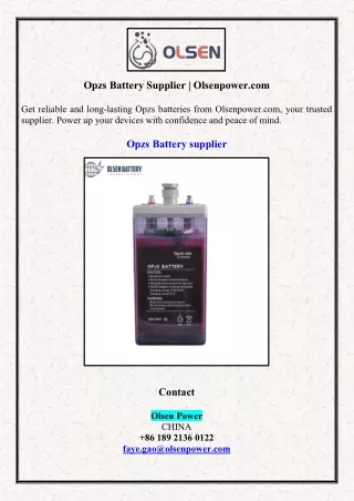 Opzs Battery Supplier | Olsenpower.com