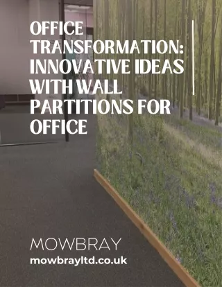 Office Transformation Innovative Ideas with Wall Partitions for Office