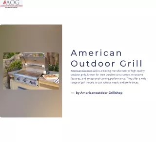 American Outdoor Grill