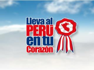 ORGANIZAN Ministerio de Trabajo Ministerio de Educación Municipalidades Provinciales y Distritales del Perú